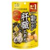 [Made in Japan] ITOH Oyster Turmeric Liver Extract Supplement, 20-40 days