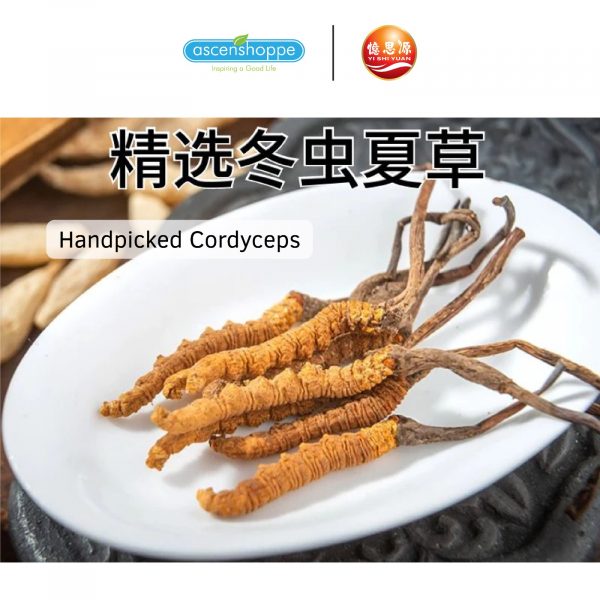 YISHIYUAN Tiger Milk · Lung Cleanse 60s 憶思源虎乳芝净肺宝 for sensitive nose cold cough regulate health support immune - Image 5