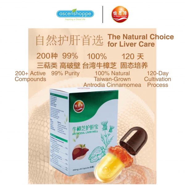 YISHIYUAN 60'S Antrodia Liver 牛樟芝 body detoxification healthy liver improve metabolic rate high body fat cholesterol - Image 5