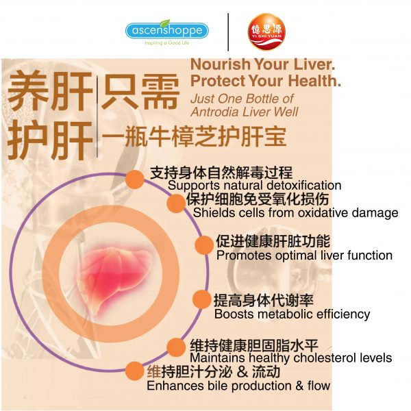 YISHIYUAN 60'S Antrodia Liver 牛樟芝 body detoxification healthy liver improve metabolic rate high body fat cholesterol - Image 4