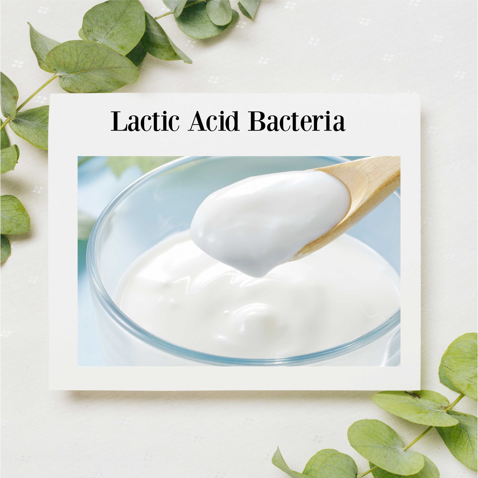 [BUY 1 GET 2] Purururun Lactic Acid Bacteria Jelly 30s – Ascenshopee